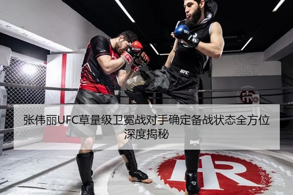 张伟丽UFC草量级卫冕战对手确定备战状态全方位深度揭秘